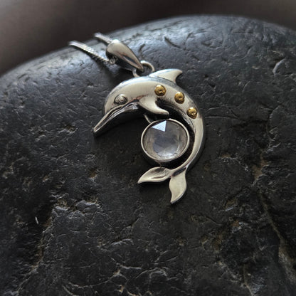 Silver Dolphin Pendant with Kyanite